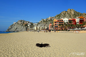 Cabo San Lucas