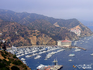 Catalina Island