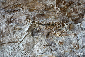 Dinosaur National Monument: Utah