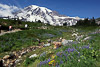 MountRainier