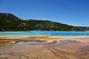 Yellowstone NP