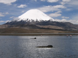 Parinacota